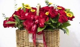 花篮网爆料最新网站下载,最新网站下载背后的秘密与趋势