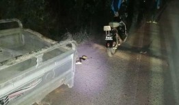 动车砍刀事件最新爆料,细节披露，真相渐明