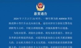 河津最新事件爆料新闻,揭秘背后真相，引发社会关注